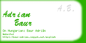 adrian baur business card